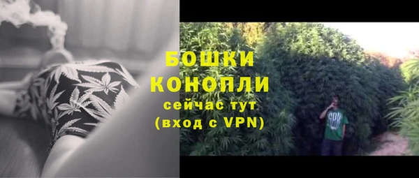 гидра Верея