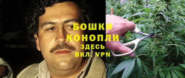 гидра Верея