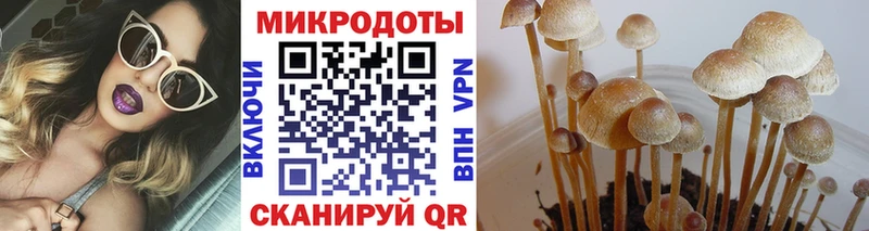 Псилоцибиновые грибы мицелий  Купить  Чайковский 