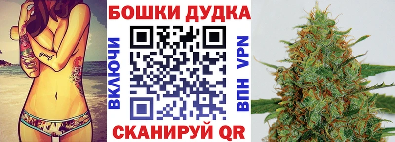 Купить закладки  Чайковский  Канабис Amnesia 